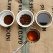 Complete Guide to World-Famous Single Origin Coffee Growing Regions - Flavor Differences and Taste Characteristics of Premium Coffee Beans at Various Roast Levels