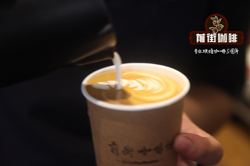 Brazilian coffee landscape showing coffee plantations