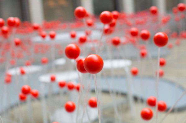 Each small ball represents a flower.