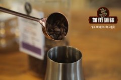 The Story and Flavor Profile of Wanago Coffee Growing Region in Yirgacheffe