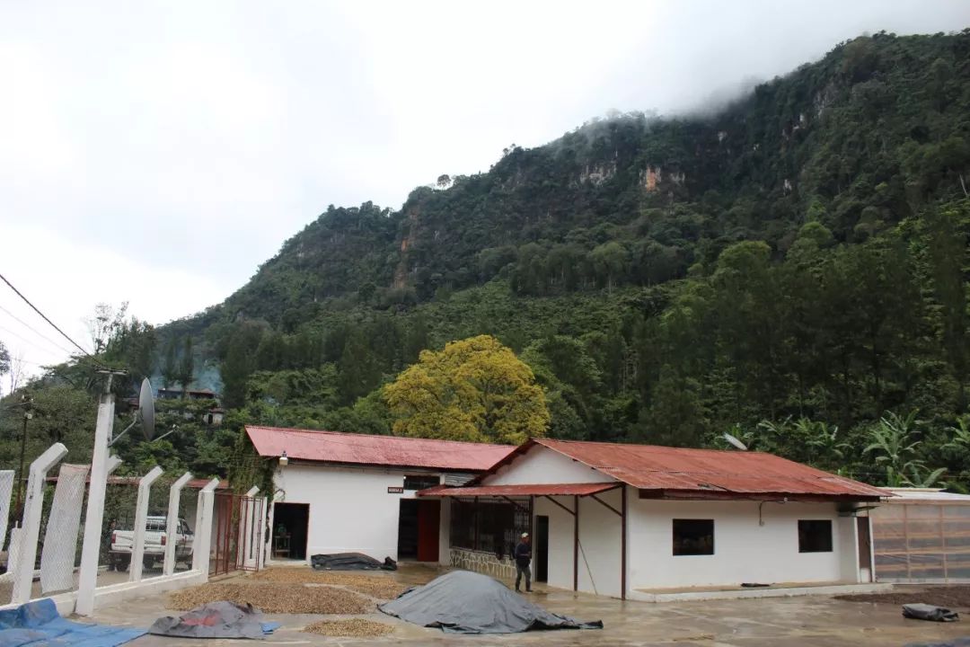 Finca La Bolsa estate