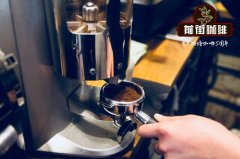 Italian Coffee Training Materials Key Points: Six Golden Elements for Making Perfect Espresso