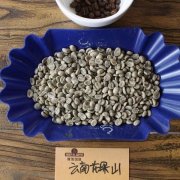 Why is Yunnan coffee called small bean coffee? How to identify authentic Yunnan small bean coffee?