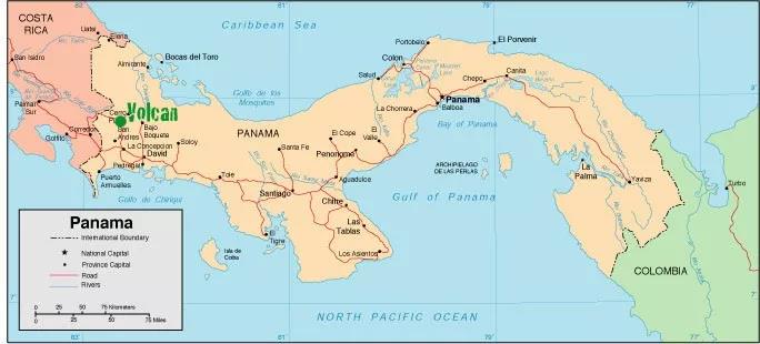 Panama Hartmann Estate Coffee Flavor Profile Processing Methods Quality Characteristics and Taste Introduction
