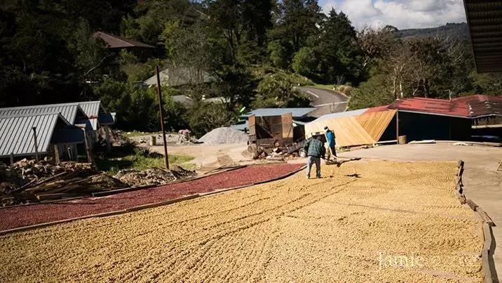 Janson family members