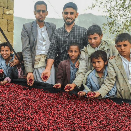 Coffee Review award certificate