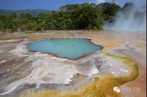 Aged Mandheling | Flavor Characteristics of Aged Mandheling, Unique Processing Method for Aged Coffee Beans