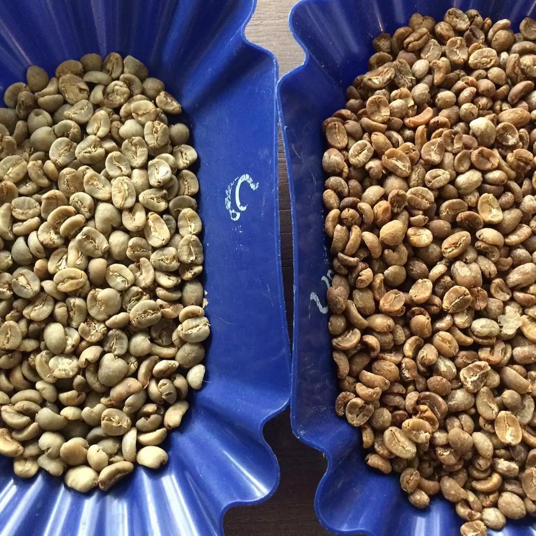 Aged Coffee Beans Appearance