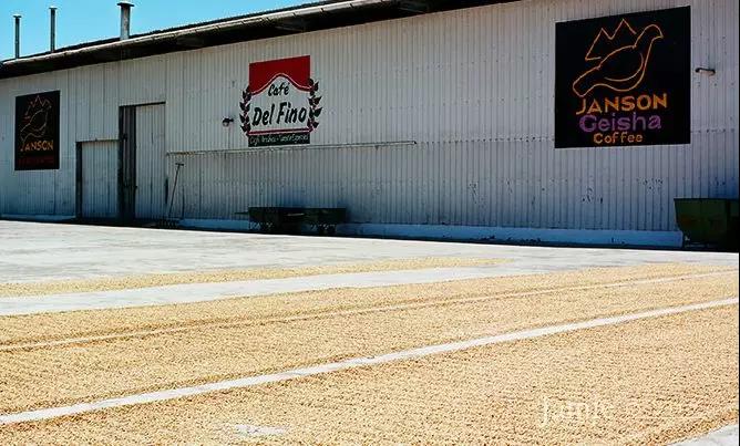 Coffee processing facility