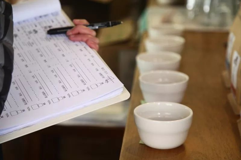 Coffee cupping