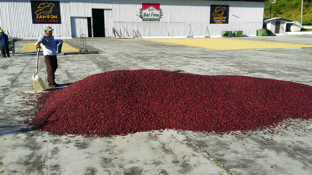 Janson Estate high altitude terrain