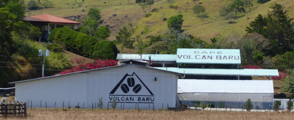 Volcan region landscape