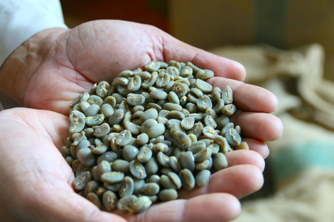 Coffee Bean Manual Sorting Process