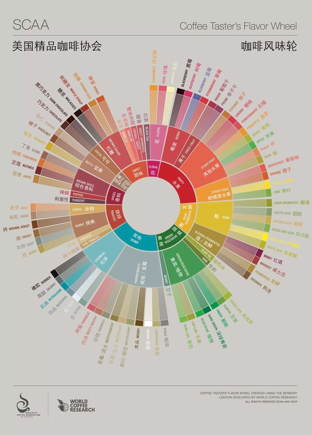SACC Coffee Flavor Wheel