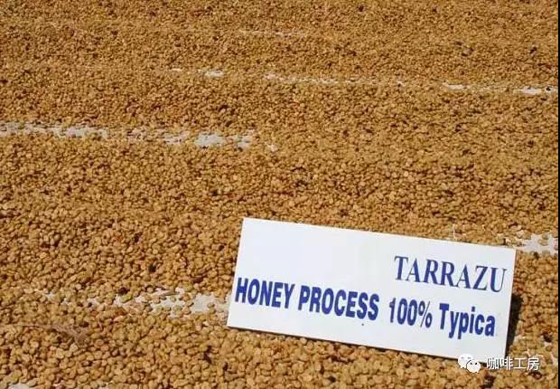 Honey Process Coffee