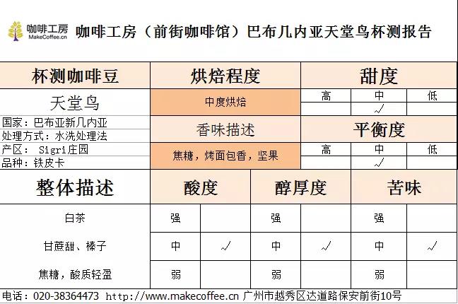 Coffee Tasting Experience