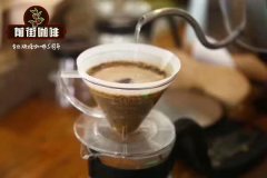 How to Choose the Right Dripper for Golden Mandheling Coffee Characteristics_KONO Pour-Over Golden Mandheling