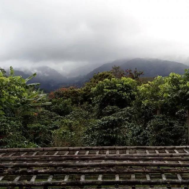 Honduras Coffee Regions Map