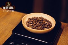 Honey Process Coffee | El Salvador Coffee —马拉卡拉C农场 What Coffee Beans to Use for Pour-Over Coffee