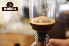 Introduction to Vietnamese Highland Coffee Flavors_Vietnamese Coffee Brand Recommendations_Vietnamese Coffee Price Analysis