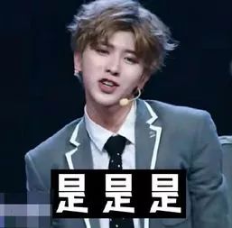 Coffee beans and brewing equipment