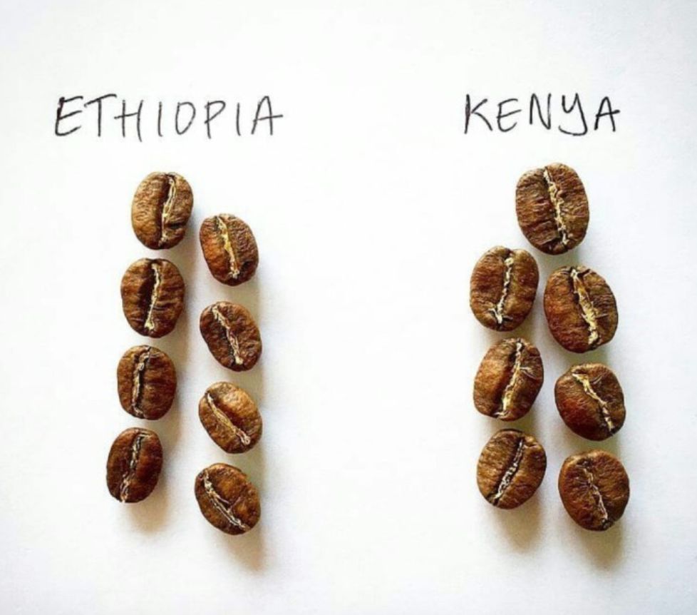 Charcoal roasted coffee beans