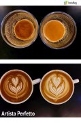 Which Coffee Beans Are Better for Latte Art_The Impact of Coffee Crema on Latte Art