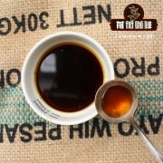 How to Drink Antigua Flor de Café Coffee Beans - Correct Antigua Coffee Brewing Methods & Price Guide