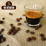 Does Robusta Belong to Specialty Coffee - Are Robusta Coffee Beans Good Tasting