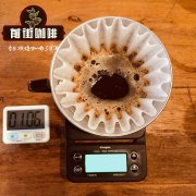 African Coffee Bean Brand Recommendations - How Much Does Ethiopian Coffee from African Regions Cost per Pack