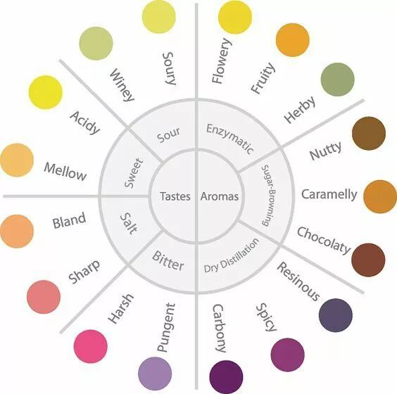 Coffee tasting process and aroma evaluation