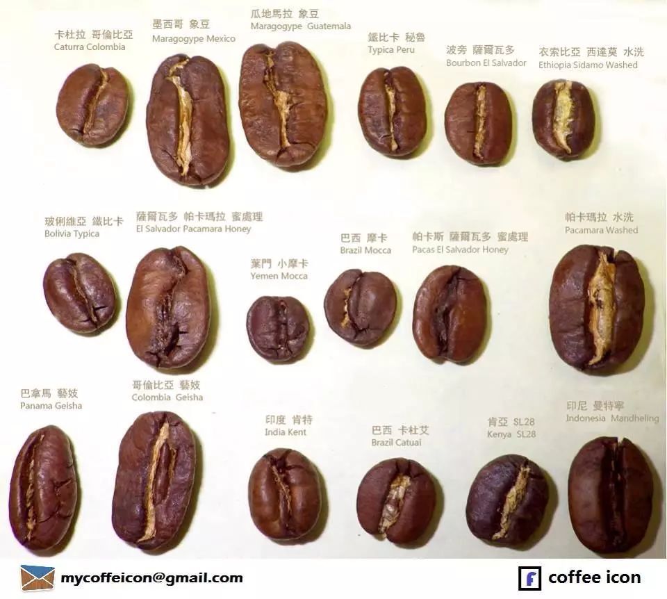 Coffee Bean Quality Standards: A Behind-the-Scenes Look at Coffee Production and Local Consumption Practices