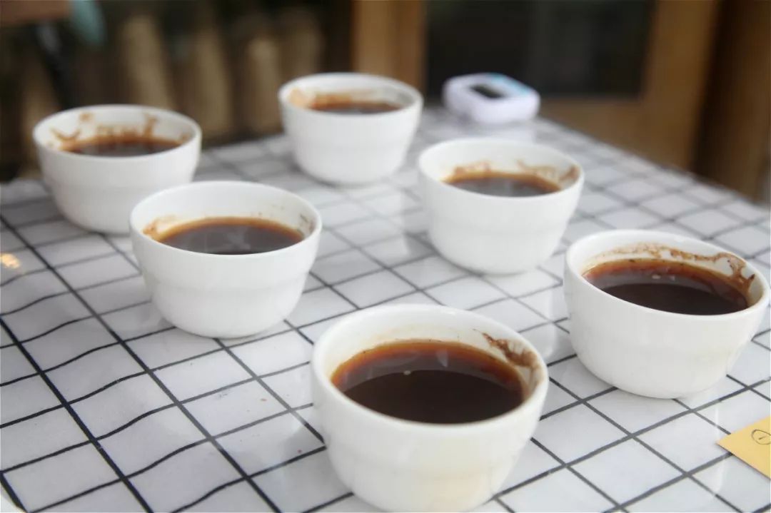 Taste Training | How to Identify Single-Origin Coffee Flavors Using Aroma Bottles