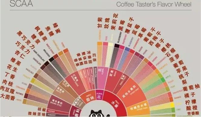 Coffee Tasting | The Captivating Floral Aromas in Coffee - Can You Identify Them?