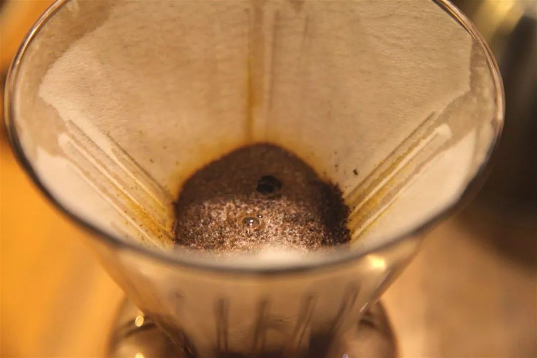 30-second bloom experiment