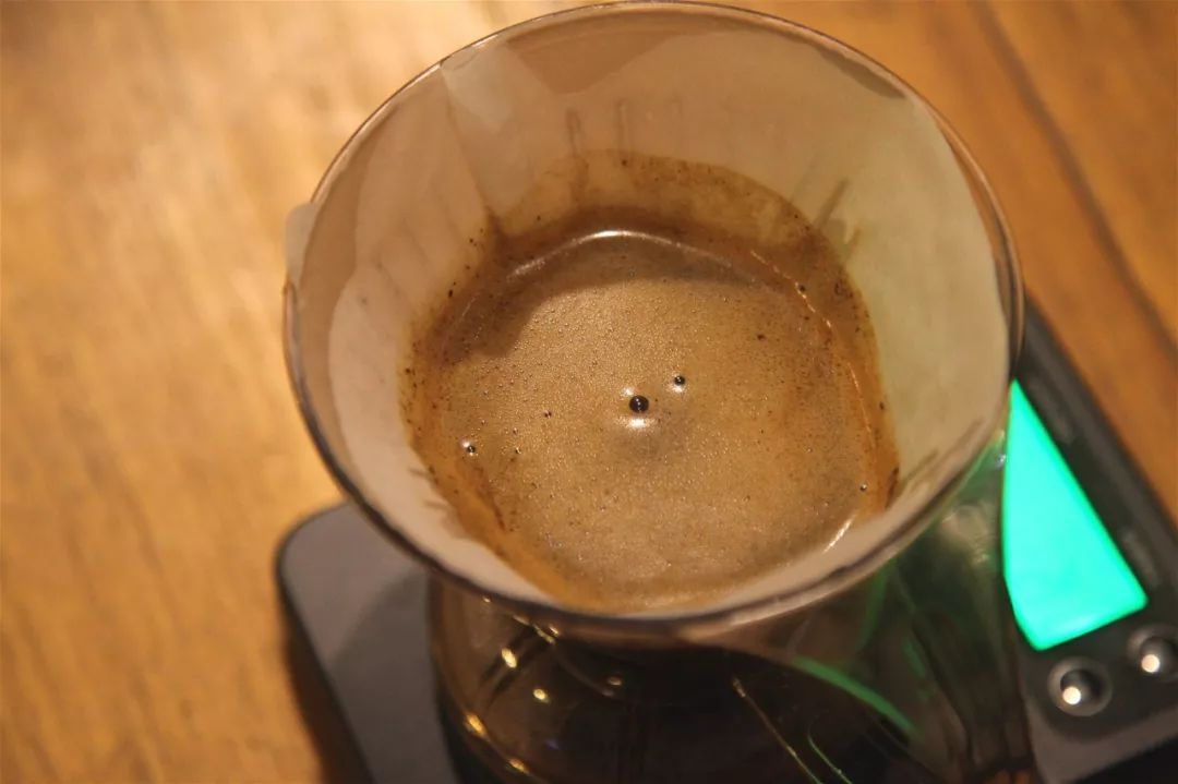 Bloom surface observation