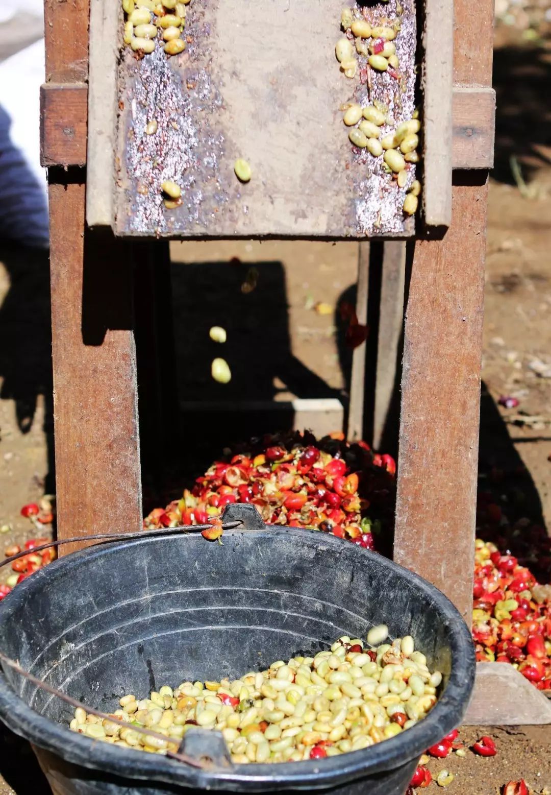 What is Indonesian Wet Hulling? What is Pulped Natural? What is Honey Processing?