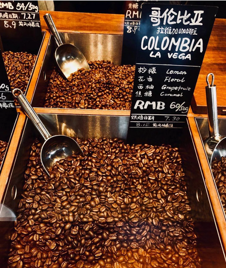 Guardabosques Forest Rangers Program