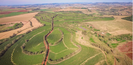 Historical photo of California Farm