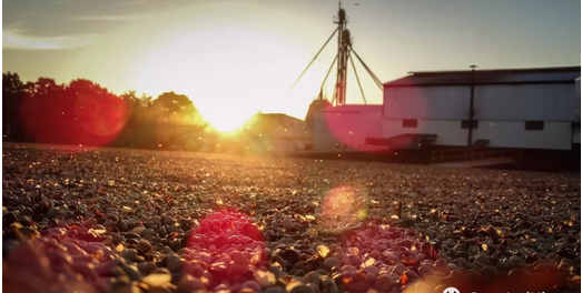 California Farm coffee beans packaging