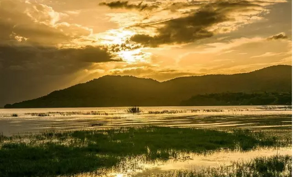 Coffee Bean Information