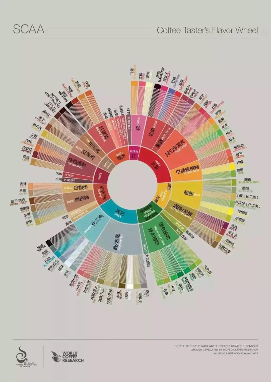 Coffee flavor wheel for flavor identification