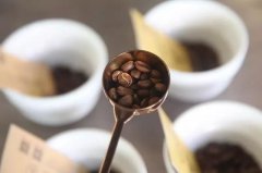 Coffee Tasting | Cupping Flavor Characteristics of Natural Geisha and Washed Blue Mountain Coffee