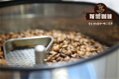 Introduction to Major Asian Coffee Producing Countries - Best Asian Coffee Beans - How to Brew Asian Coffee Powder