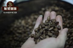 Is Freshly Ground Coffee the Same as Fresh Coffee? NO! Which Types of Freshly Ground Coffee Beans Taste Best_Freshly Ground Coffee Bean Recommendations