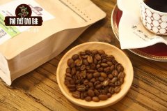 A Beginner's Simple Guide to Coffee - How to Buy Home Coffee Beans? How Much Does a Bag of Home Coffee Beans Cost?