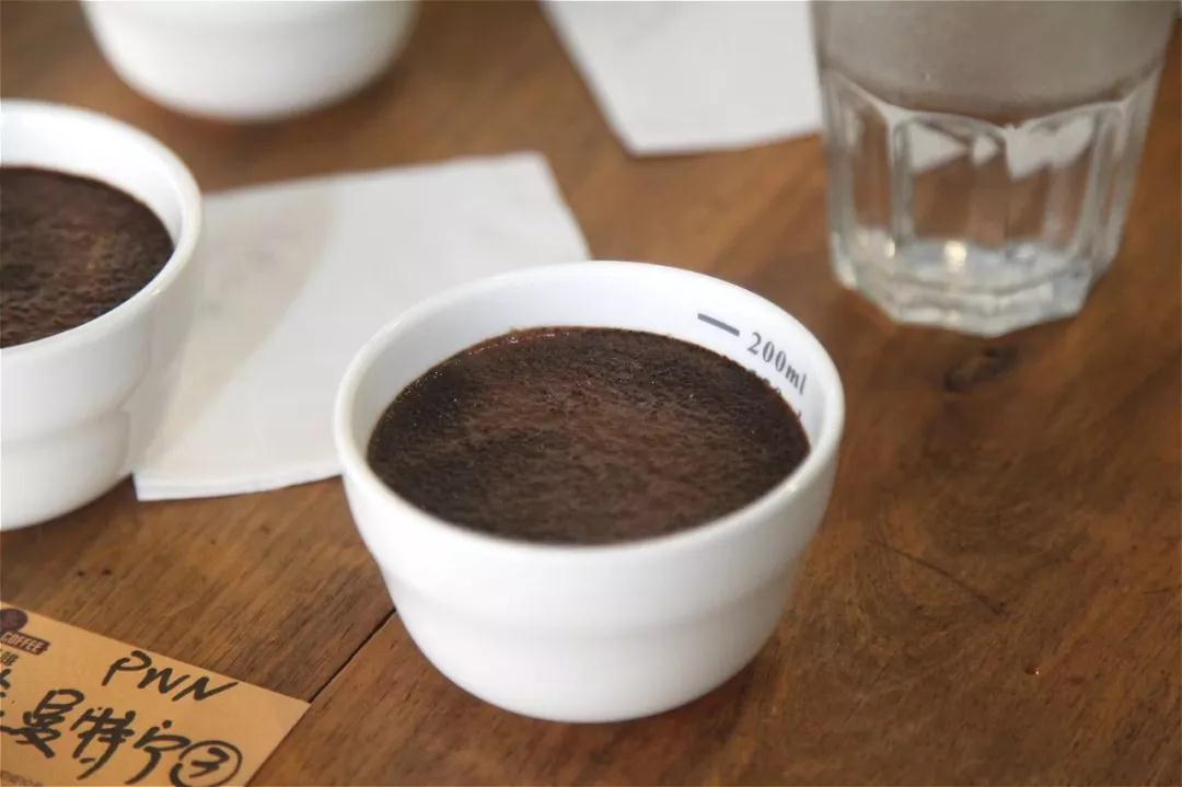 Smelling wet coffee aroma during cupping