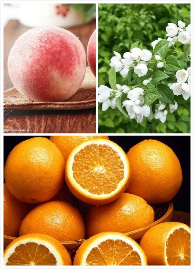 FrontStreet Coffee Flower Butterfly beans