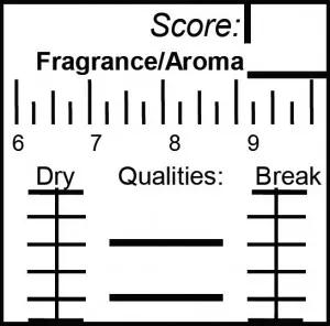 Coffee dry and wet aroma evaluation