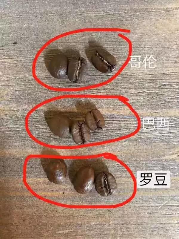 Coffee bean comparison